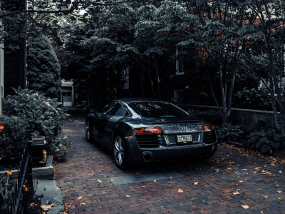 TRIP CARS